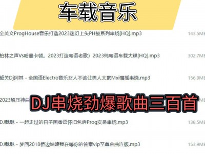 车载音乐 DJ串烧劲爆歌曲三百首