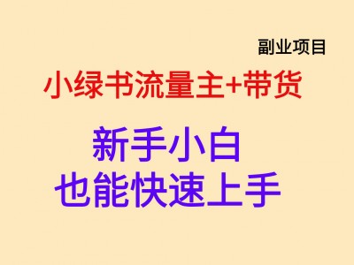 月入 4532.2 元,小绿书流量主 + 带货新手也能快速上手