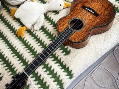 尤克里里教程大全下载