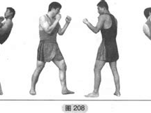 武术教程分享武术、泰拳、擒拿格斗散打、咏春拳教程、自由搏击散打技法